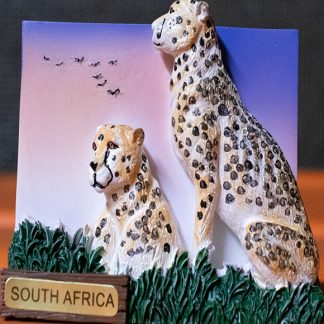 3D Magnets Cheetah